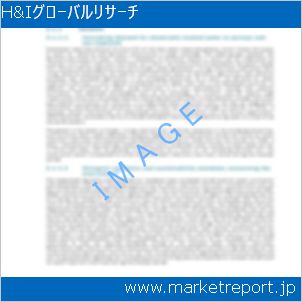 市場と産業調査レポートのイメージ